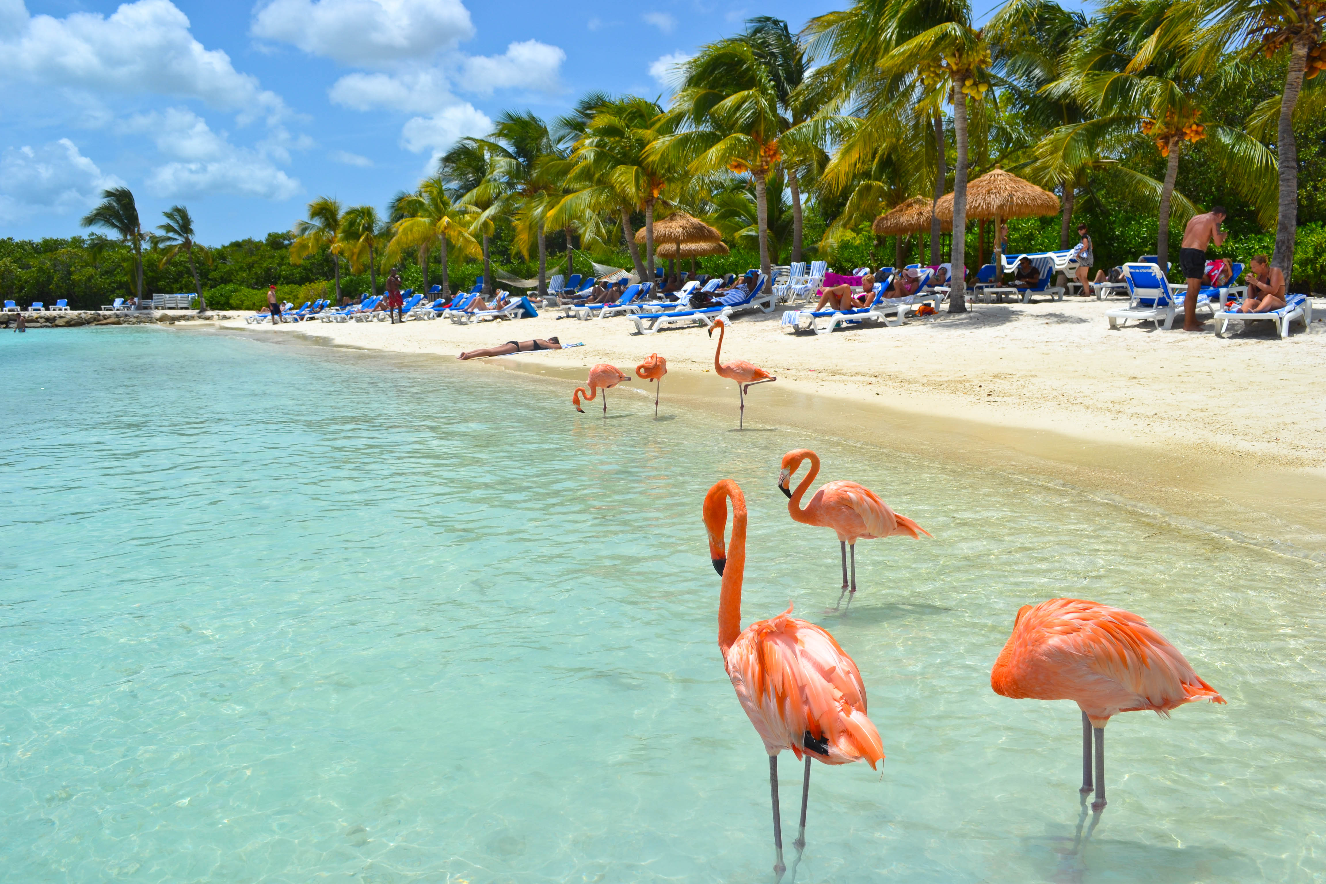 Aruba, el sueño paradisíaco para vacaciones