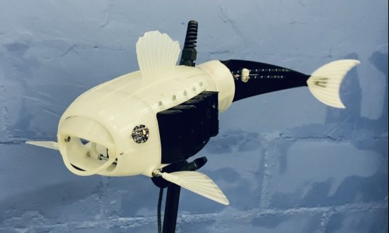 Concurso de robótica bioinspirada corona como ganador a un pez que traga plástico