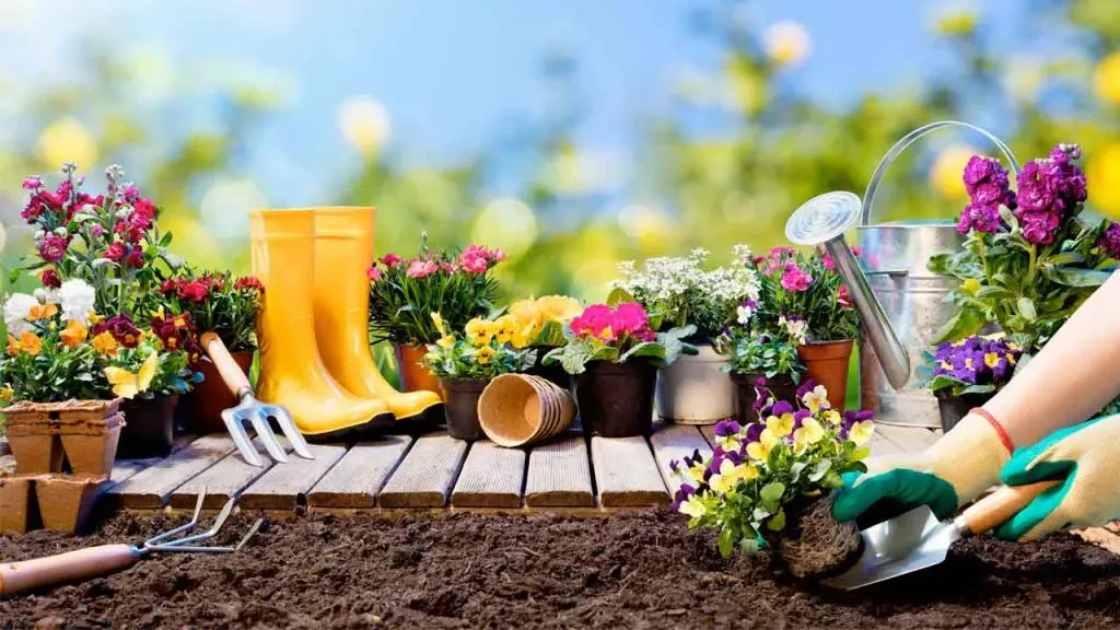 Consejos de jardinería: Mejora tus habilidades en casa