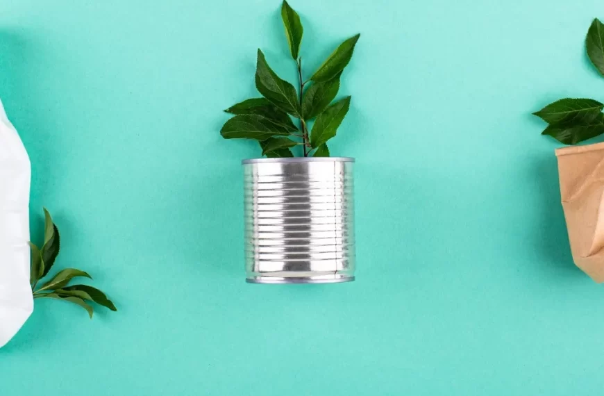 Economía Circular: Reducir, Reutilizar y Reciclar Eficazmente