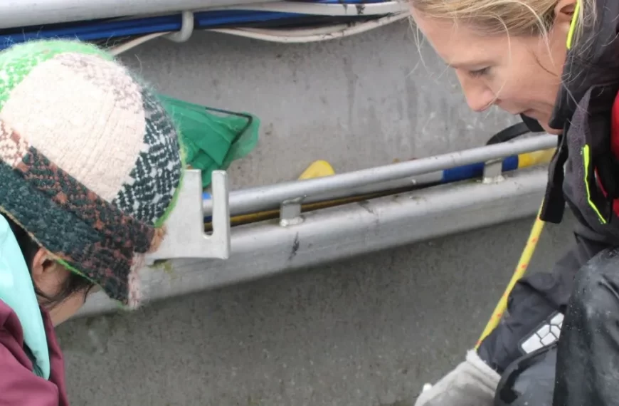 Seguimiento de la Contaminación: Análisis de Datos Efectivo