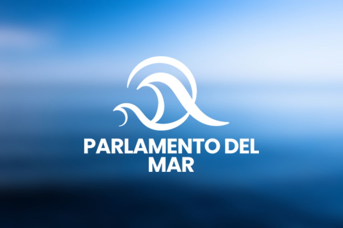 Suplantación de Almacenamiento: ¿Cómo Afecta a los Puertos Internacionales?